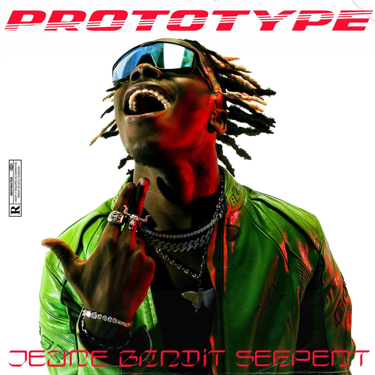 Album cover of Jeune bandit serpent