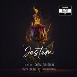 Cover of JESTEM (Radio Edit)