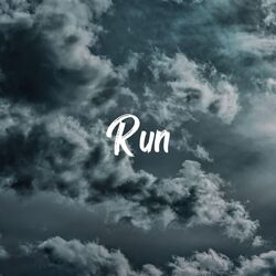 Cover of Run