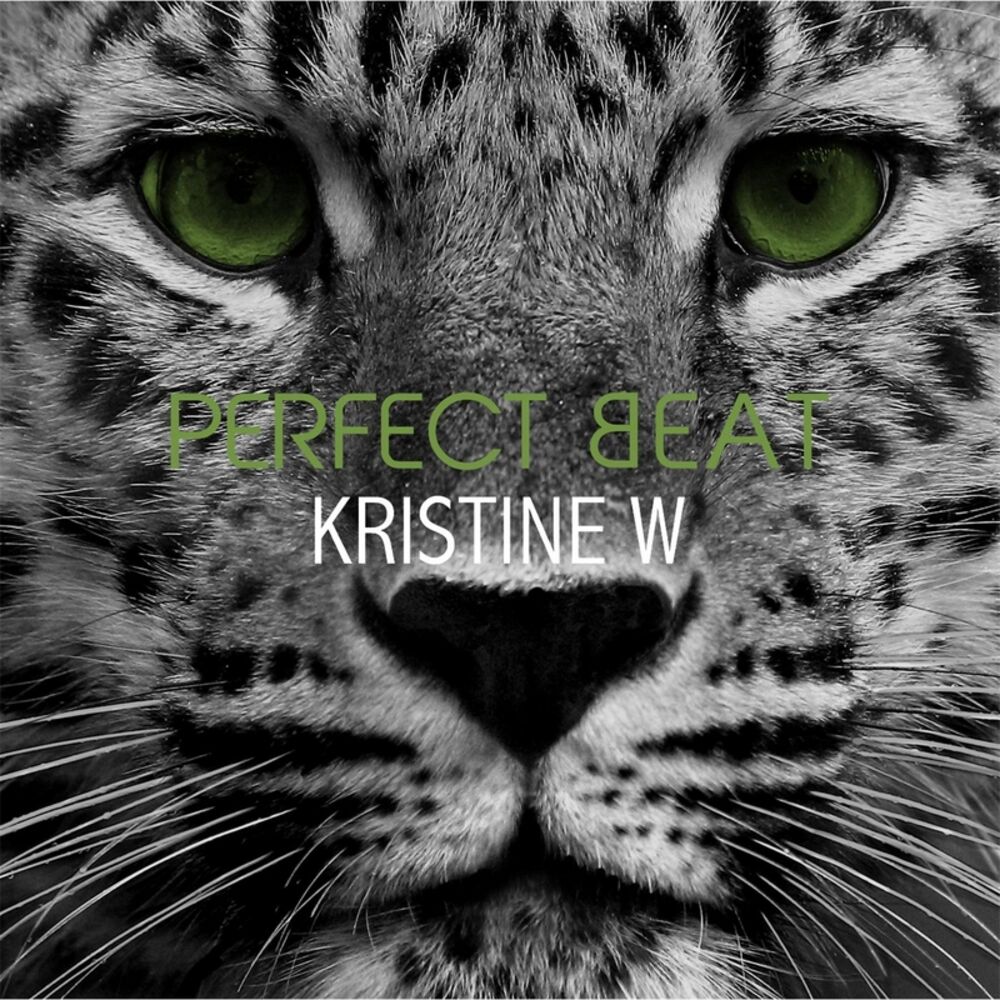Picture of Perfect Beat