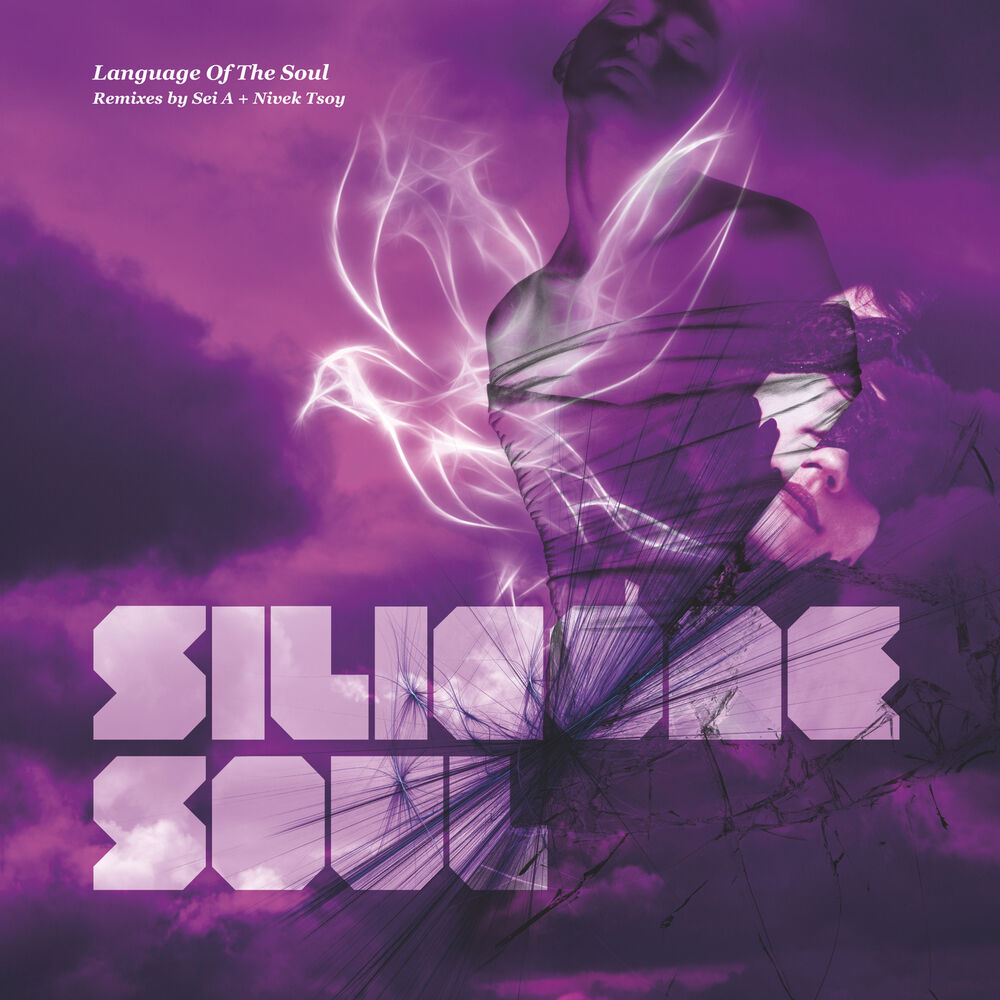 Picture of Language of the Soul