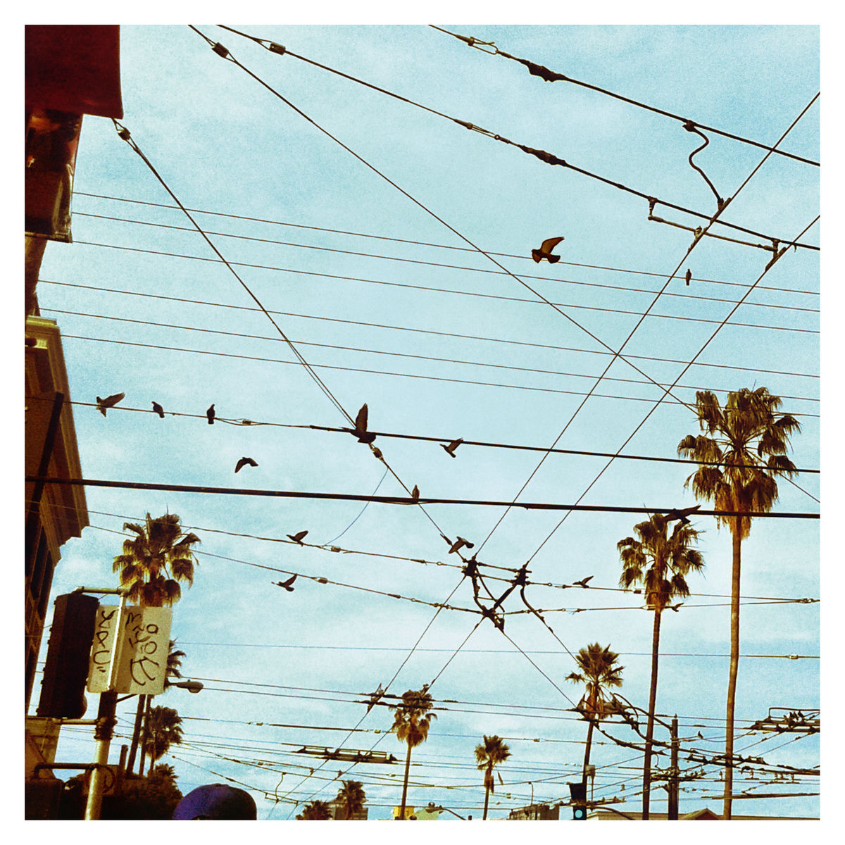 Album cover of CVEEC 3