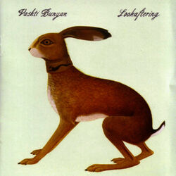 Cover of Lookaftering