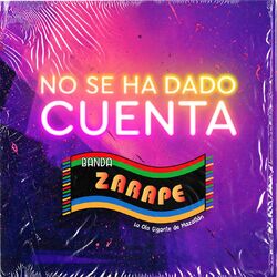 Cover of No Se Ha Dado Cuenta