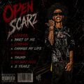 Open Scarz
