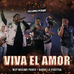 Cover of Viva El Amor