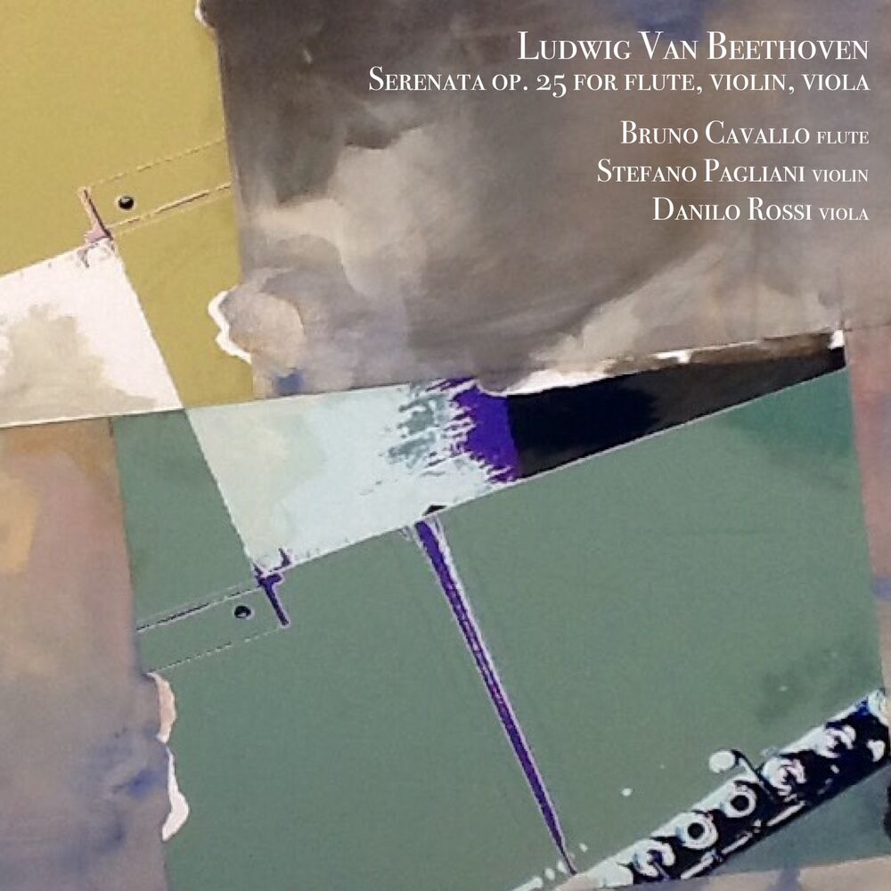 Picture of Beethoven: Serenata, Op. 25