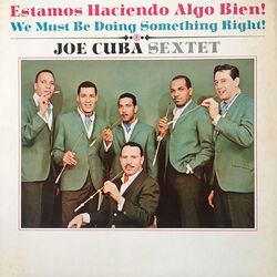 Cover of Estamos Haciendo Algo Bien!