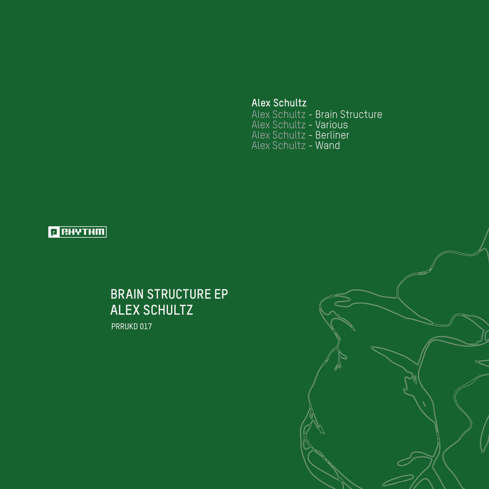 Picture of Brain Structure EP