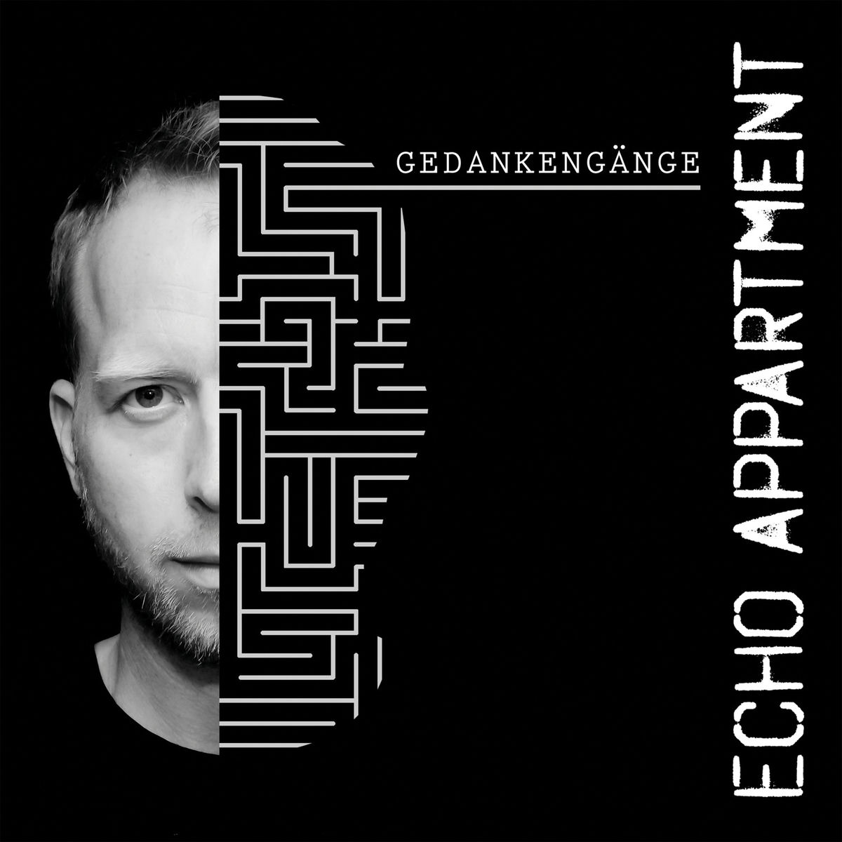 Album cover of Gedankengänge
