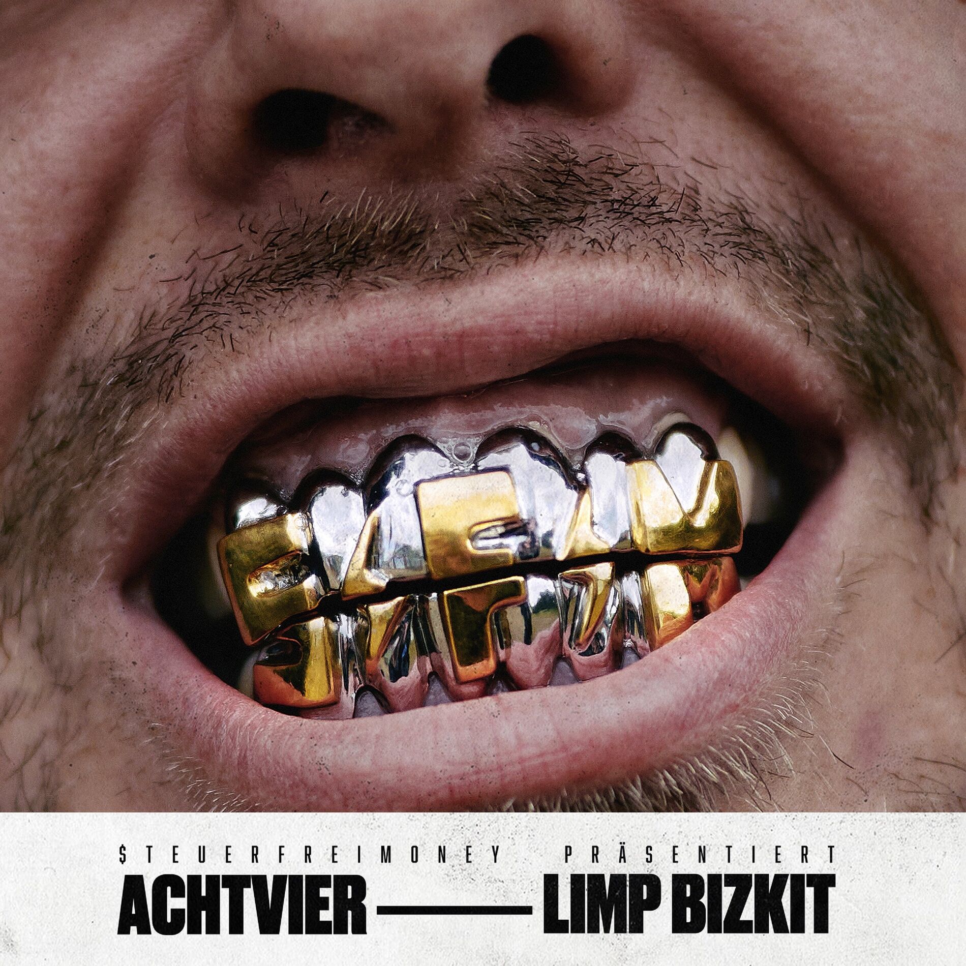 Album cover of Limp Bizkit