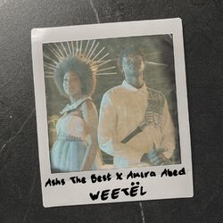 Cover of Weetël
