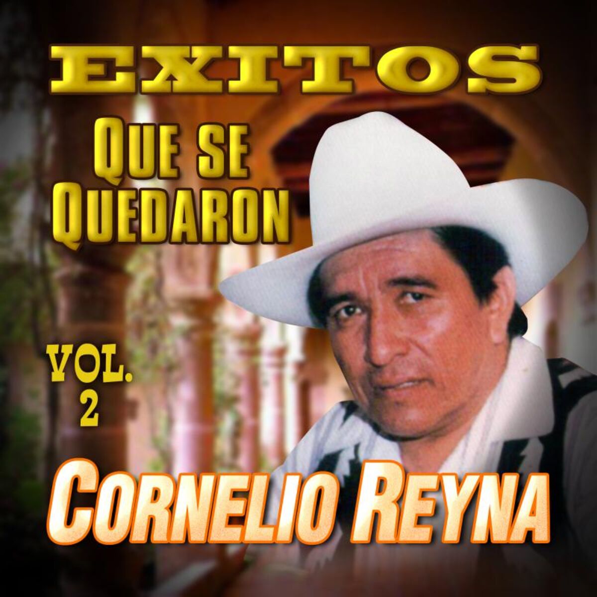 Album cover of Exitos Que se Quedaron, Vol. 2
