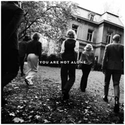 Cover of You Are Not Alone