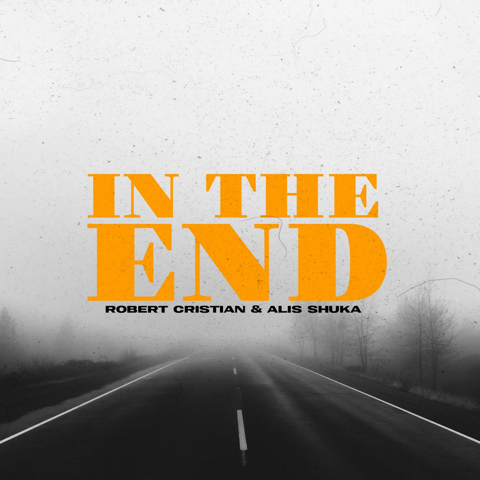 Album cover of In the end