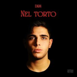 Cover of nel torto
