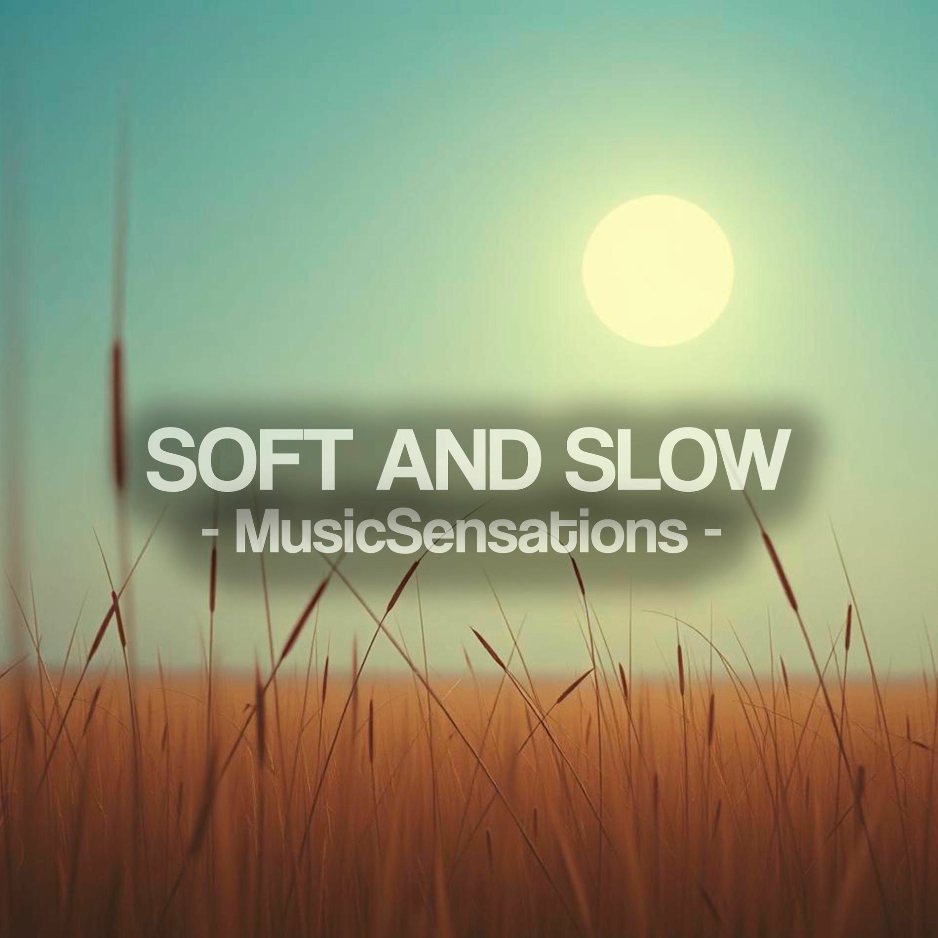 Album cover of Soft and Slow