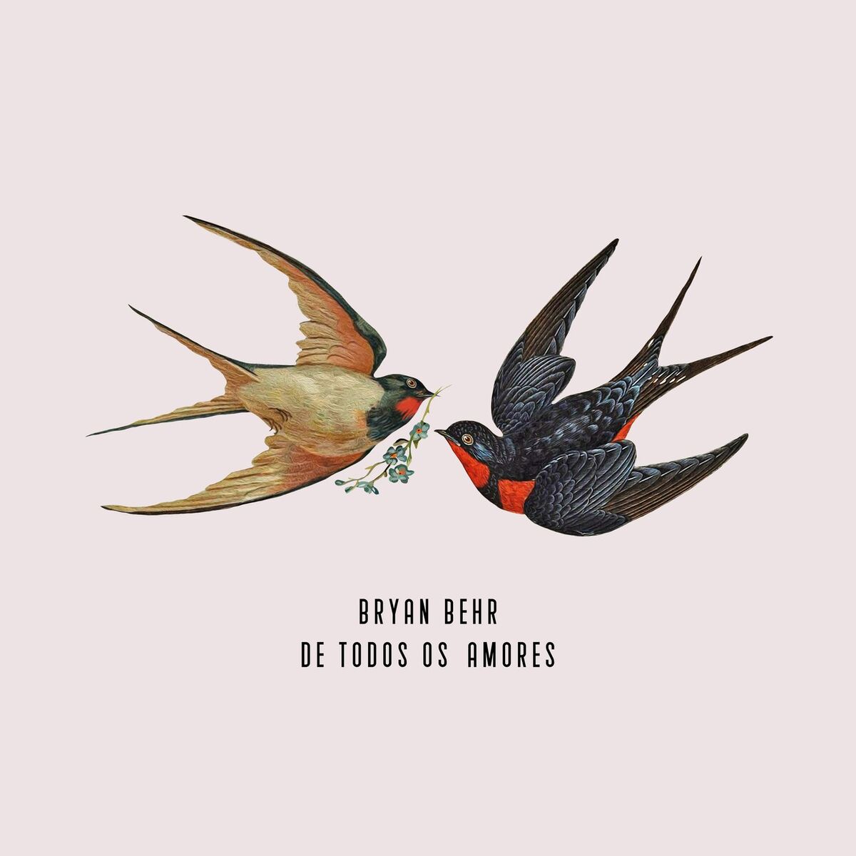 Album cover of de todos os amores
