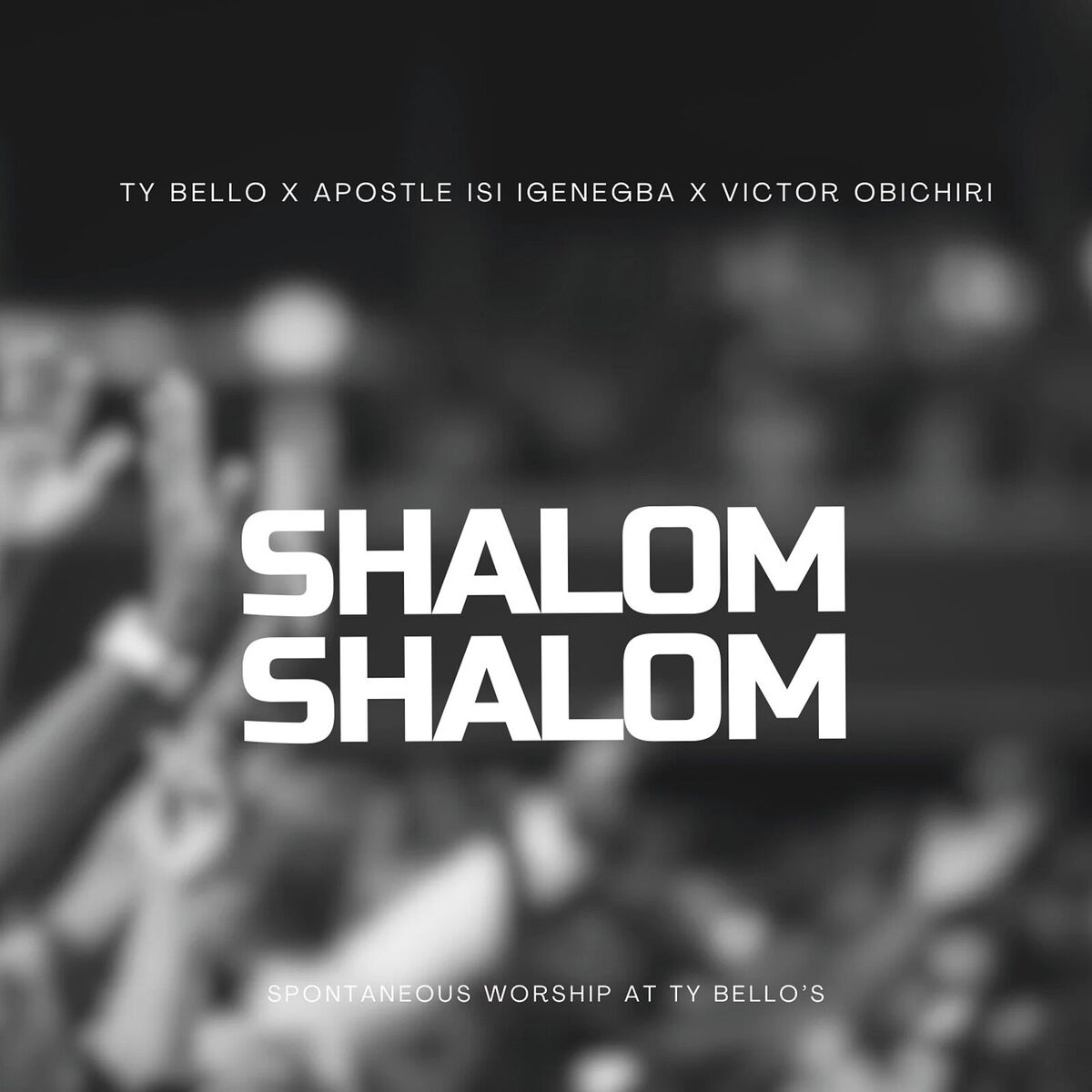 Album cover of Shalom Shalom