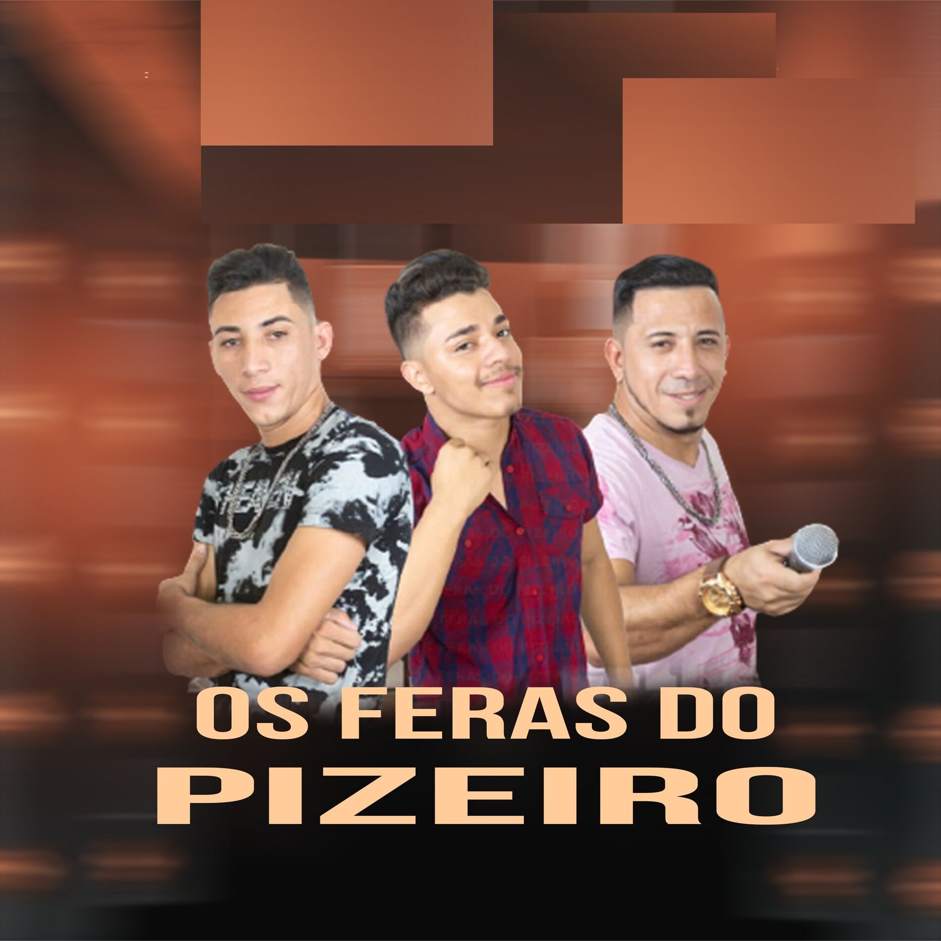 Album cover of Os Feras do Pizeiro (Ao Vivo)
