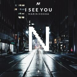 Cover of I See You (Nightcore)