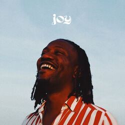 Cover of Joy