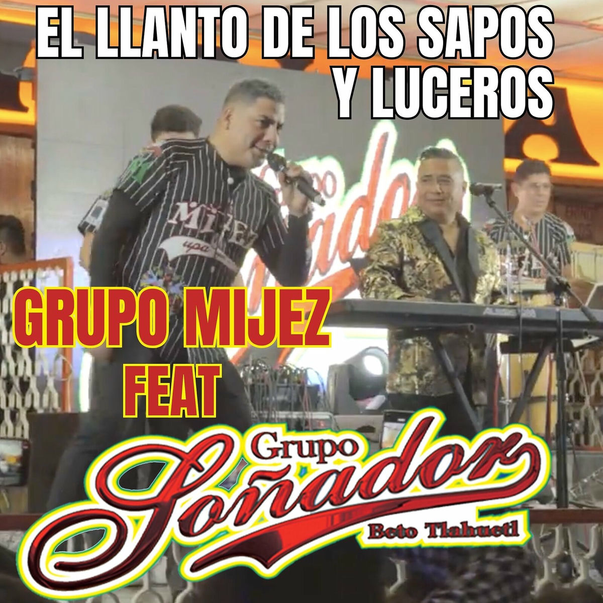 Album cover of El Llanto De Los Sapos Y Luceros