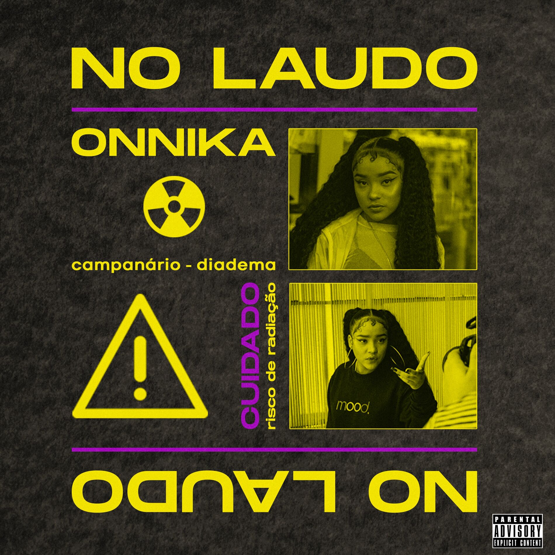 Album cover of No Laudo