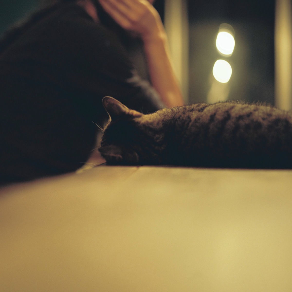 Album cover of 誰かと聴きたい 秦 基博