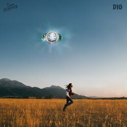 Cover of Dig