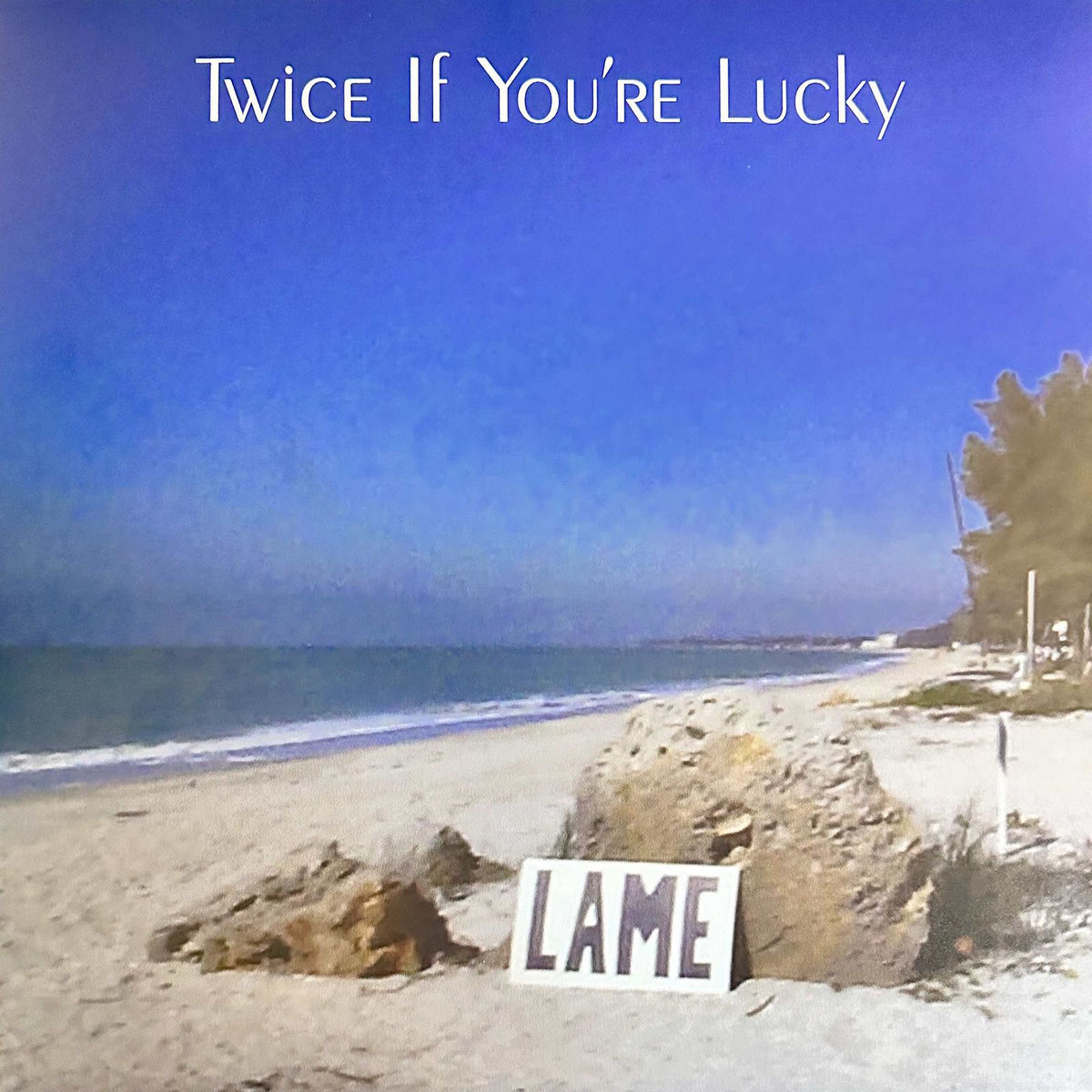 Album cover of Twice If You're Lucky