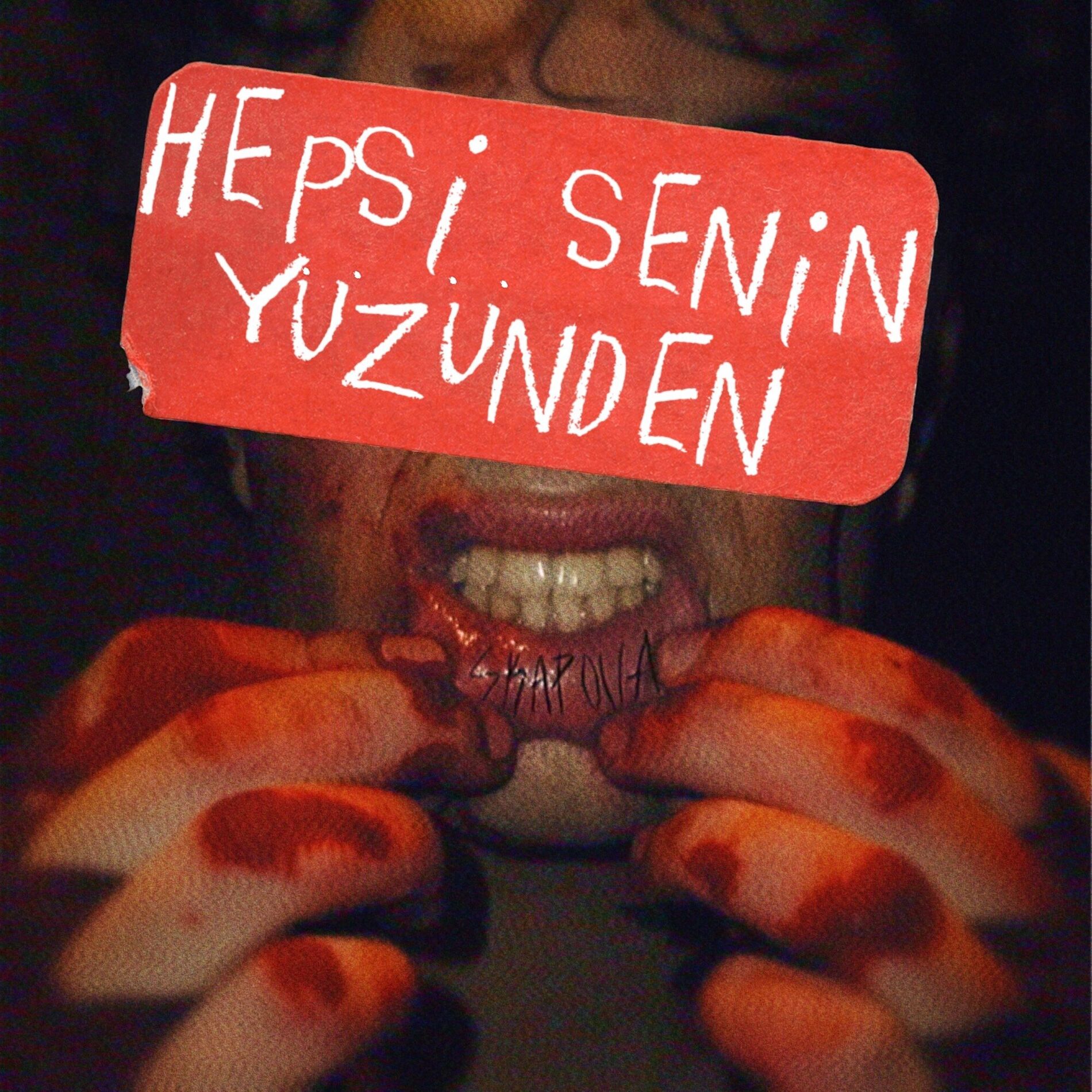 Album cover of Hepsi Senin Yüzünden