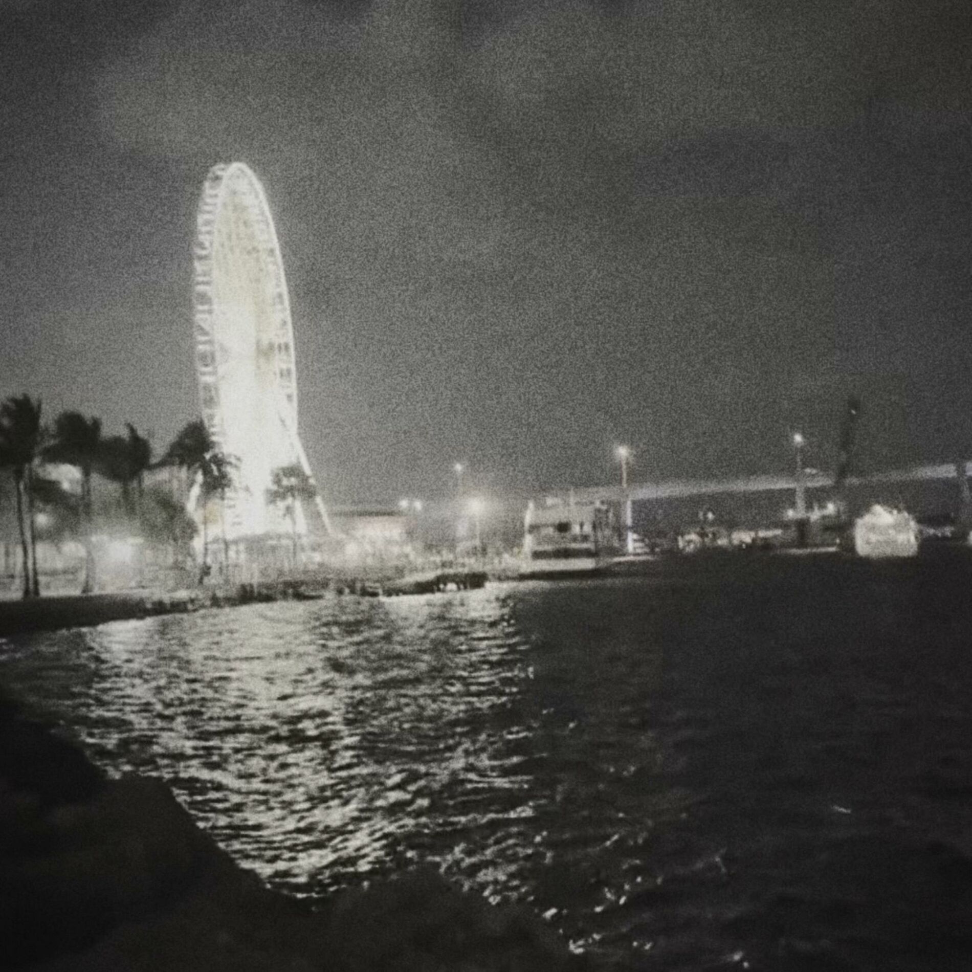 Album cover of ferris wheel (back to you)