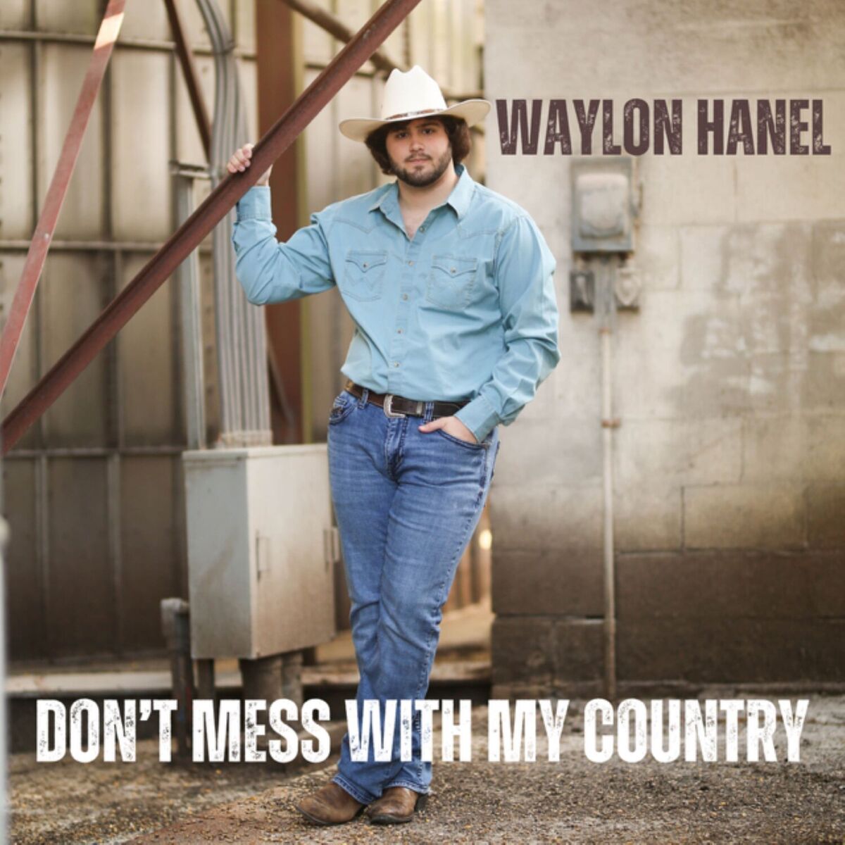Album cover of Don't Mess With My Country