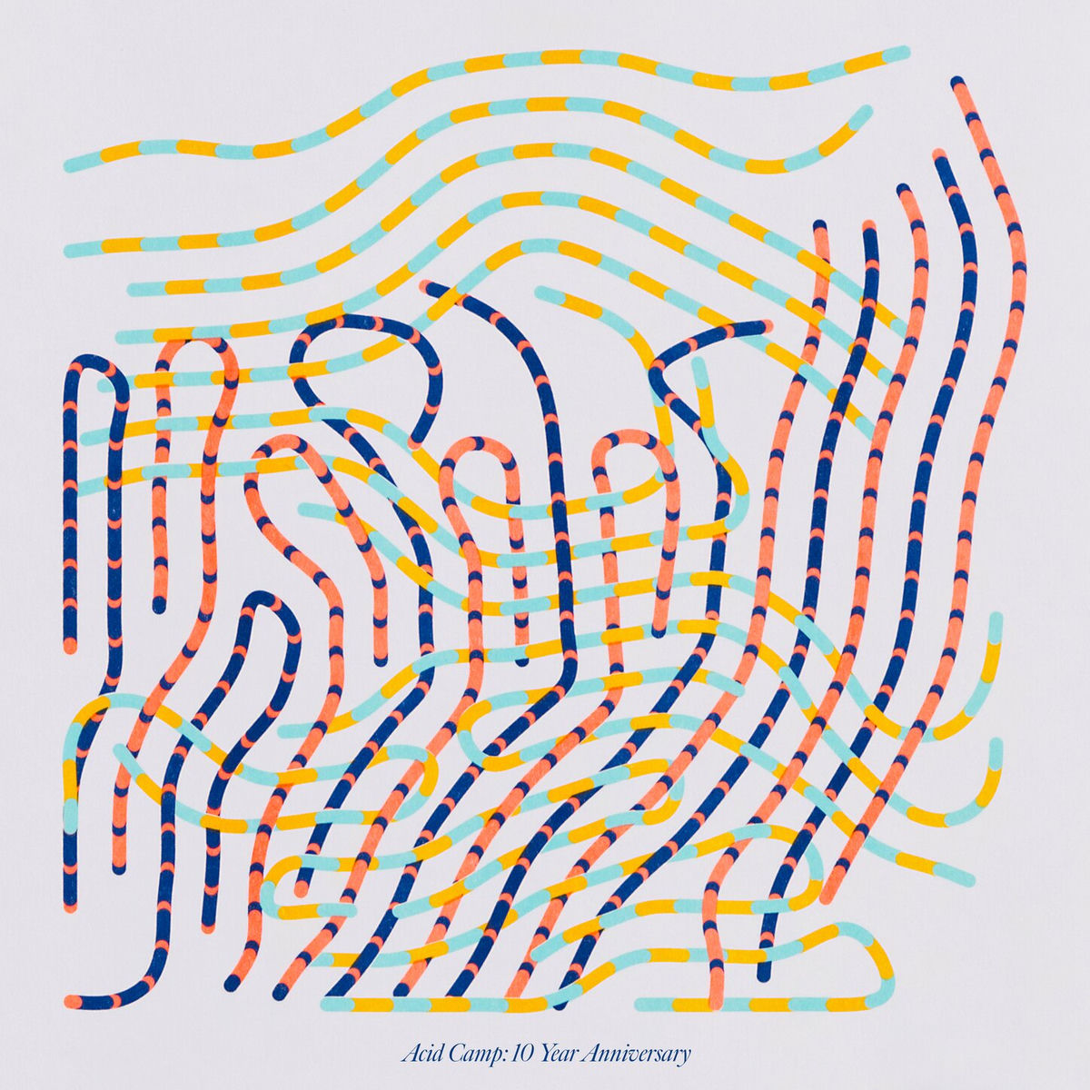 Album cover of Acid Camp: 10 Year Anniversary