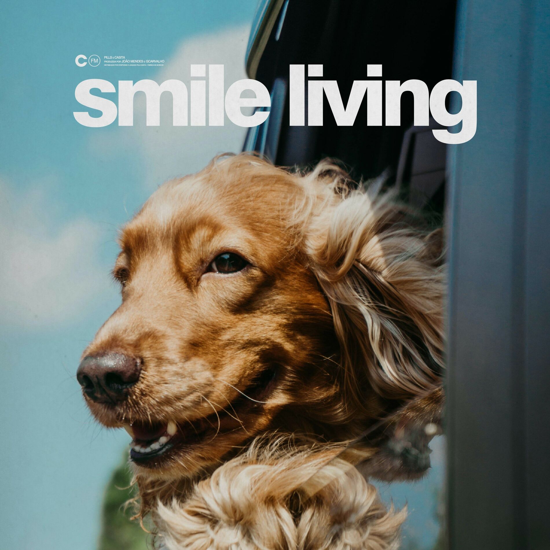 Album cover of Smile living