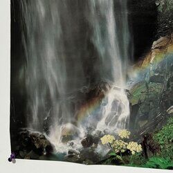 Cover of Mystery or Misery?