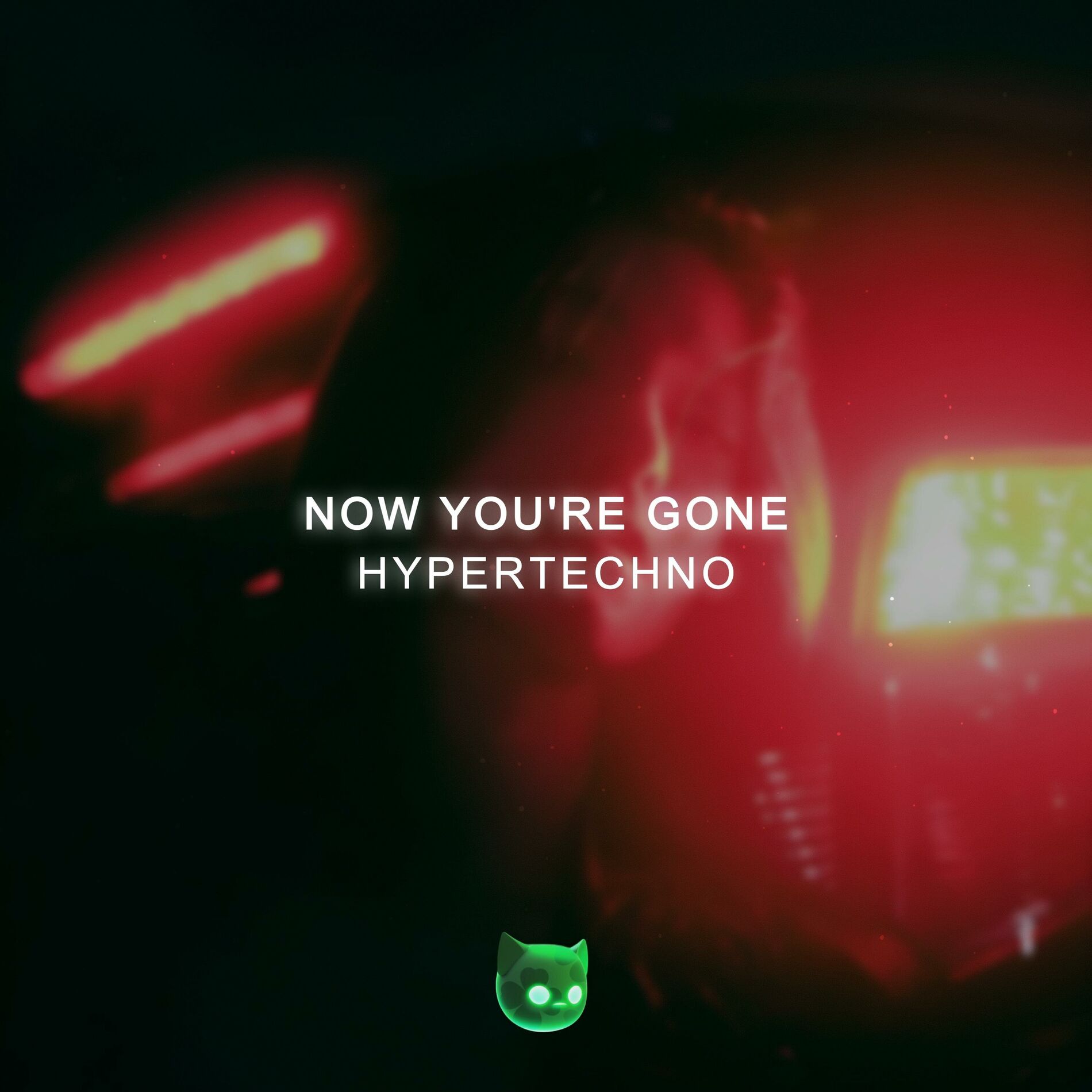 Album cover of NOW YOU'RE GONE