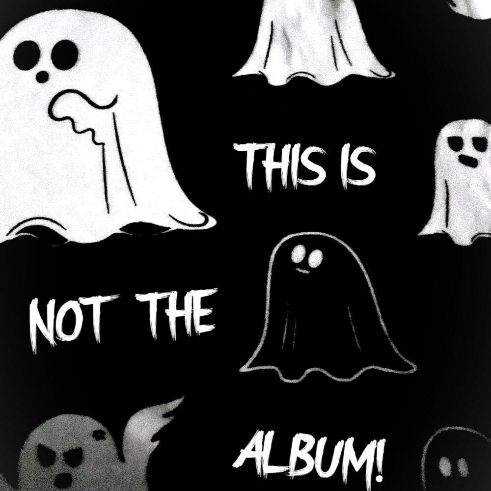 Picture of THIS IS NOT THE ALBUM!