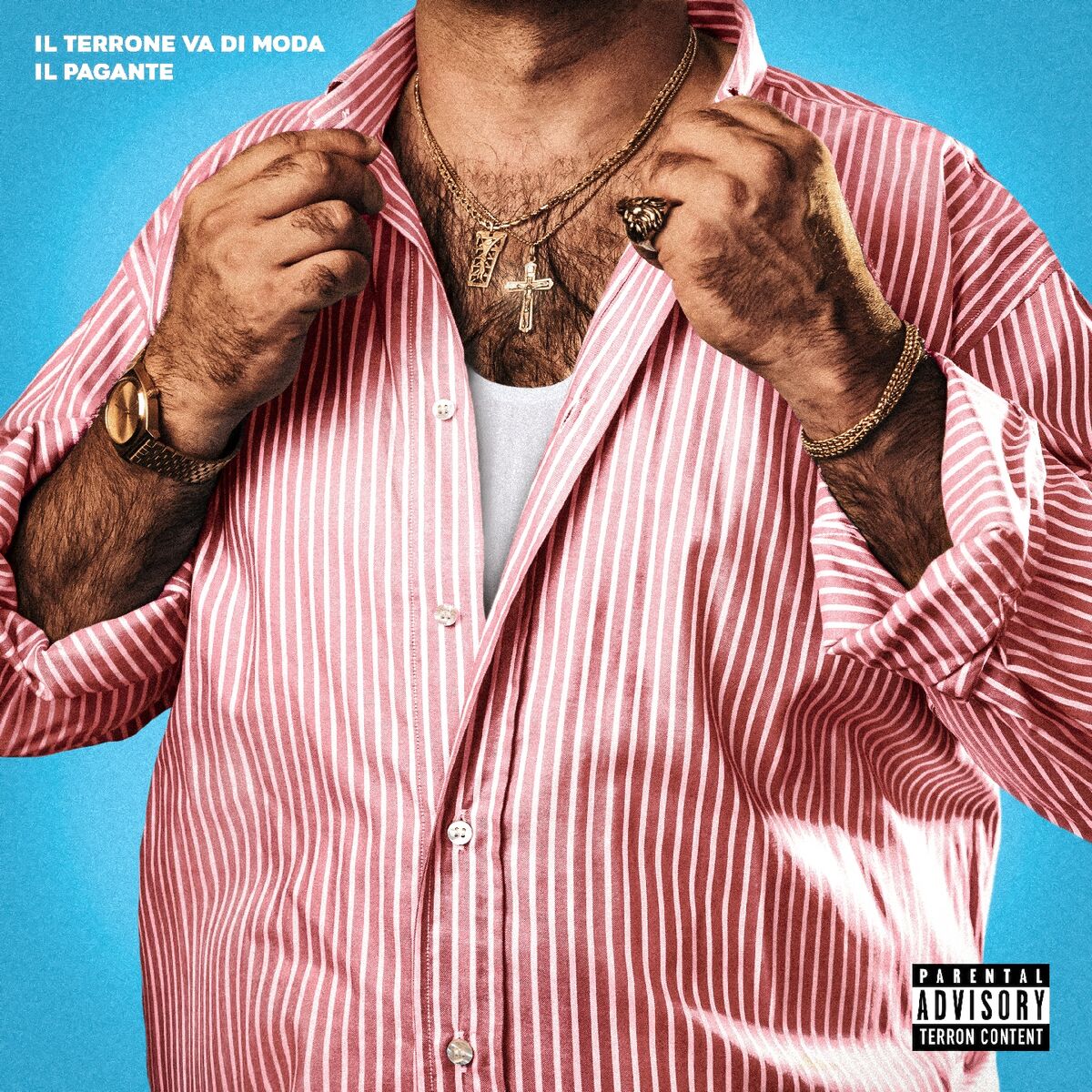 Album cover of Il Terrone Va Di Moda