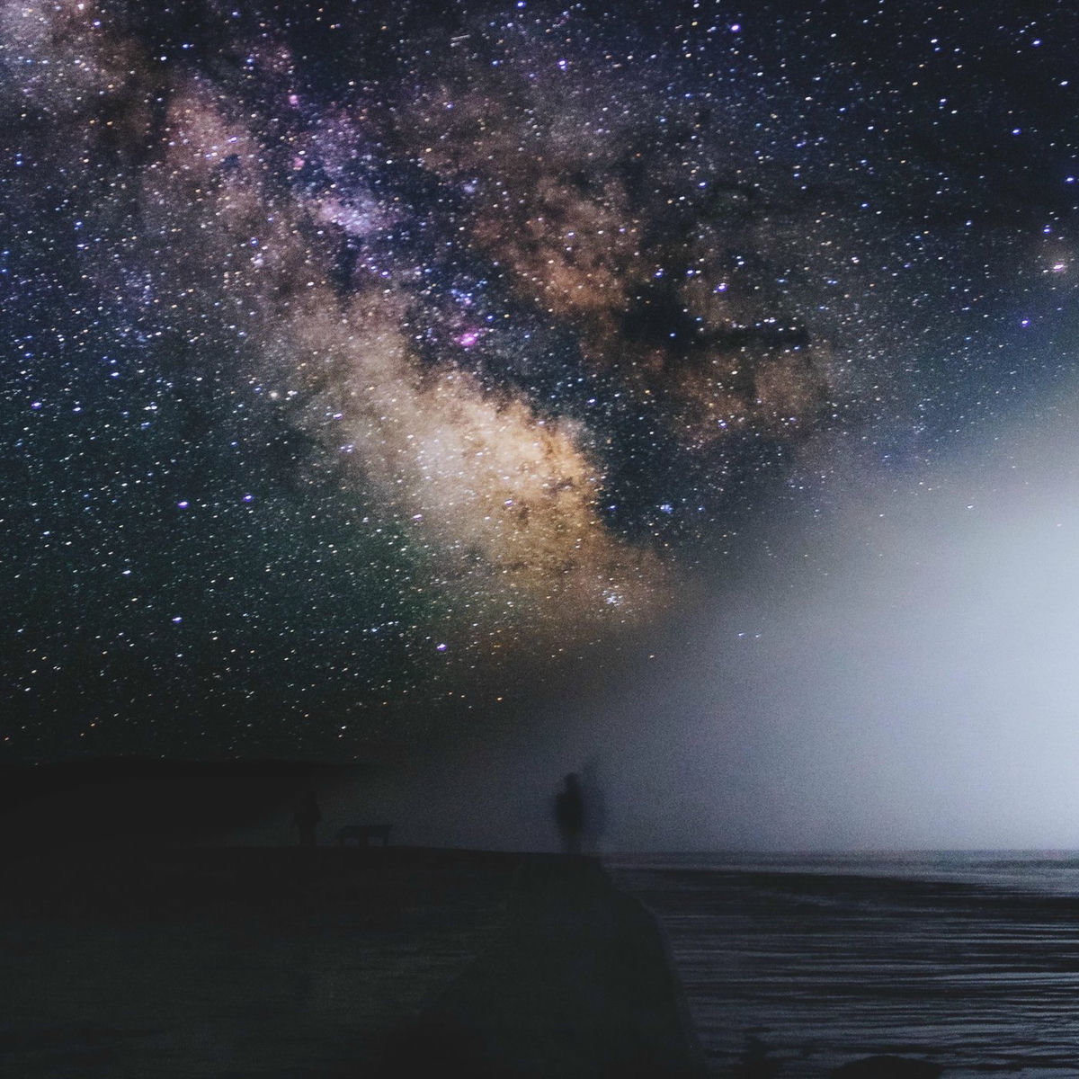 Album cover of Constellation Veins