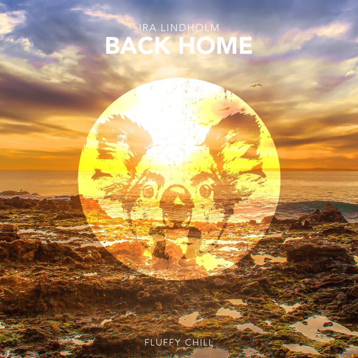 Album cover of Back Home