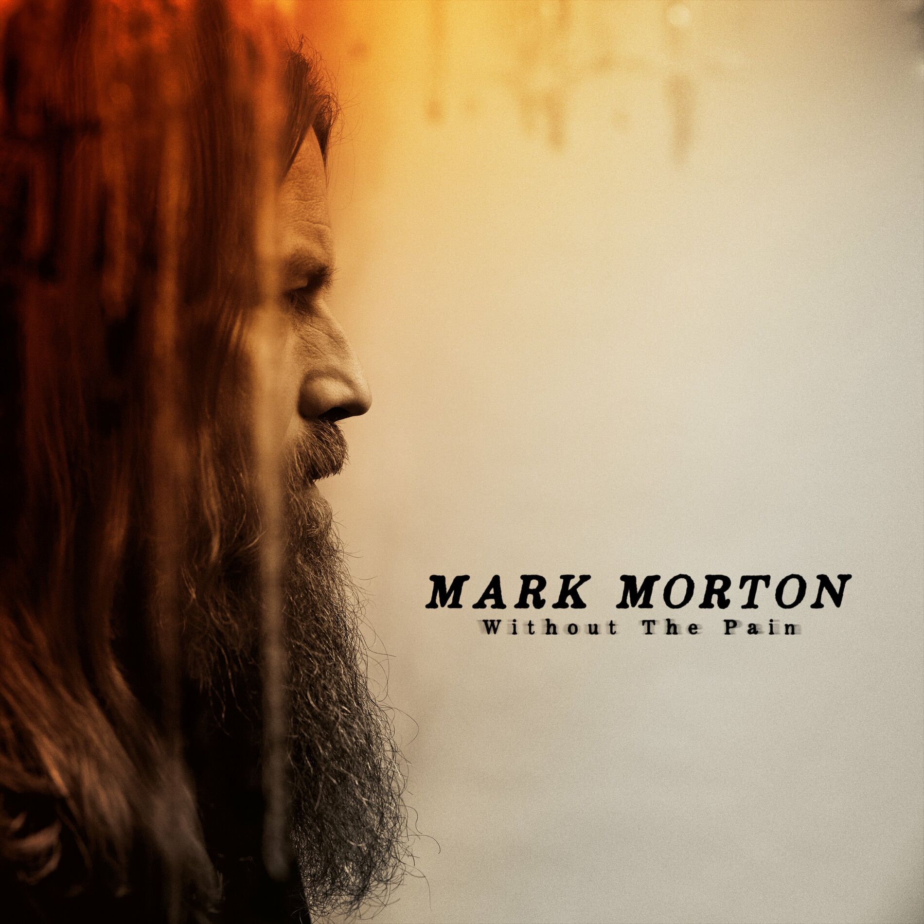 Album cover of Without The Pain