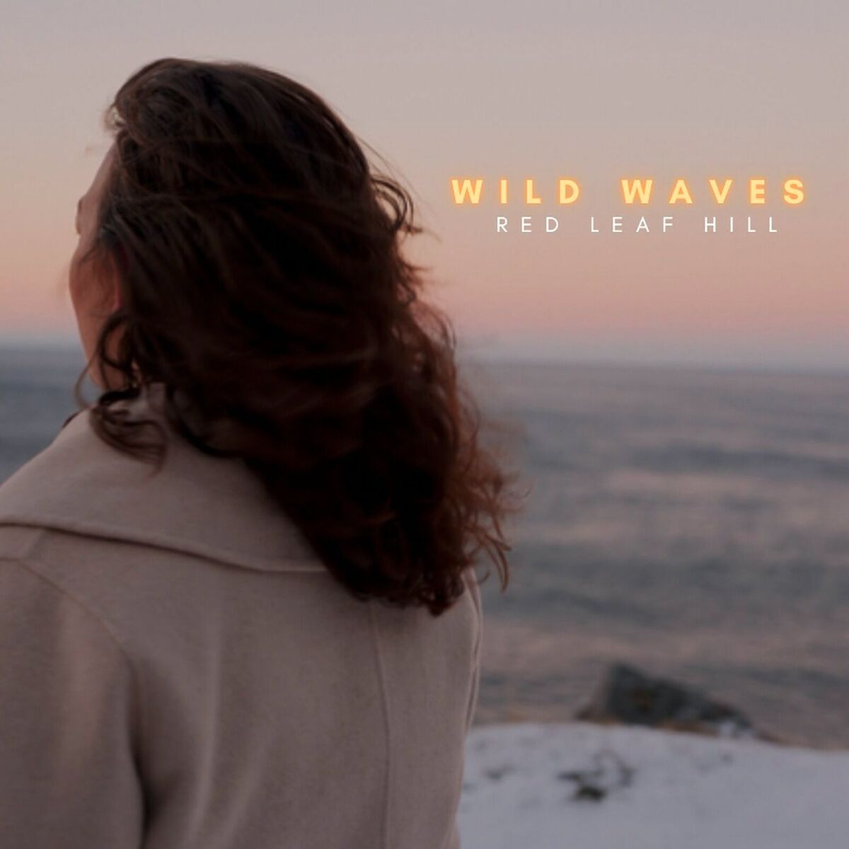 Album cover of Wild Waves