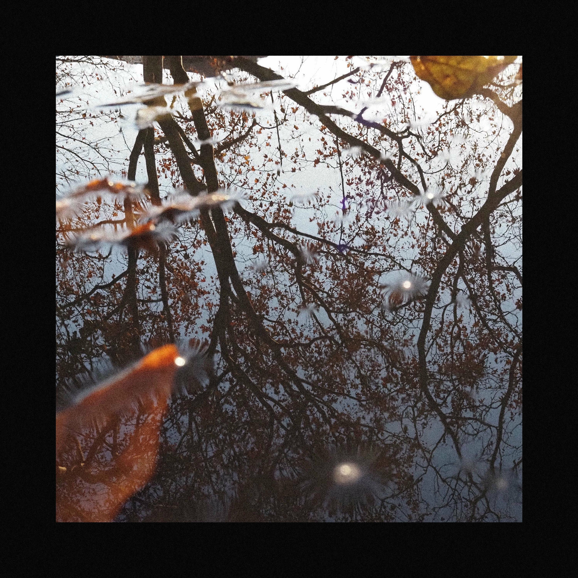Album cover of Outward