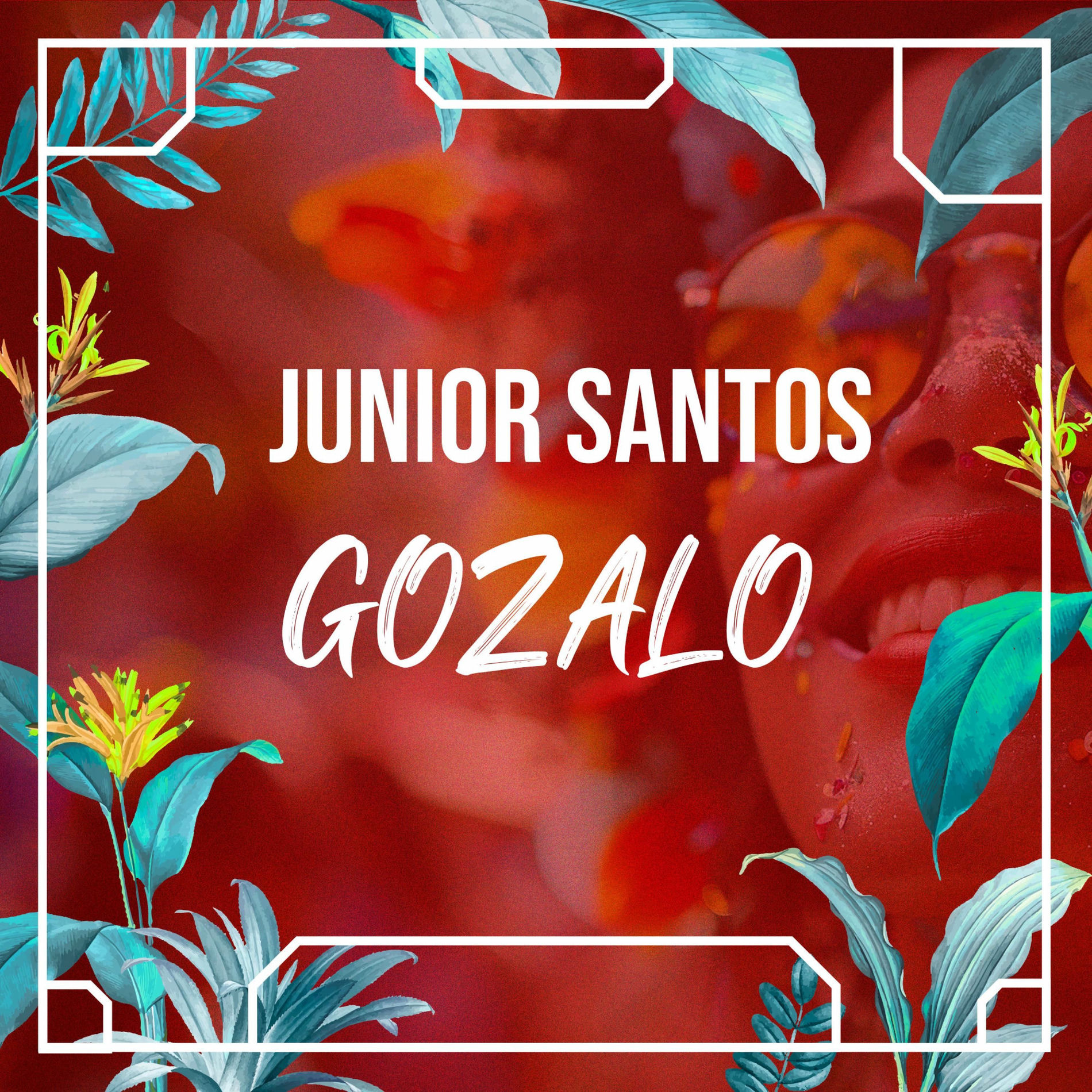 Album cover of Gozalo