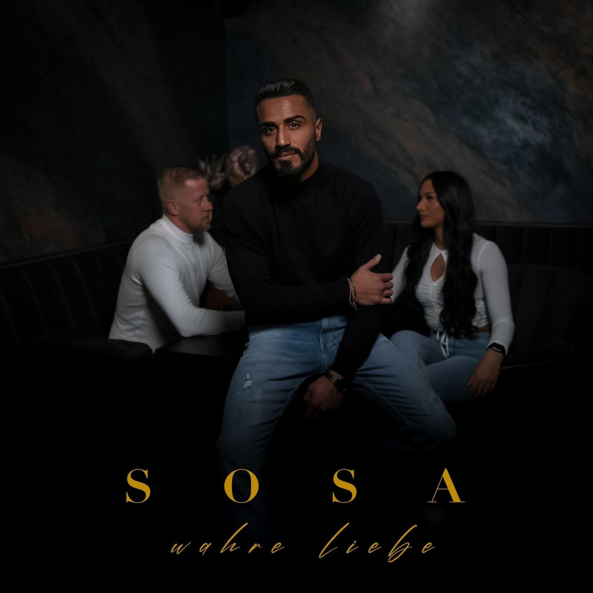 Album cover of Wahre Liebe