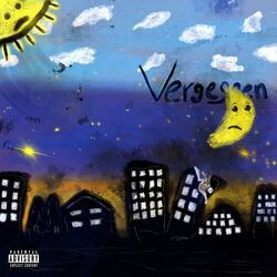Cover of VERGESSEN