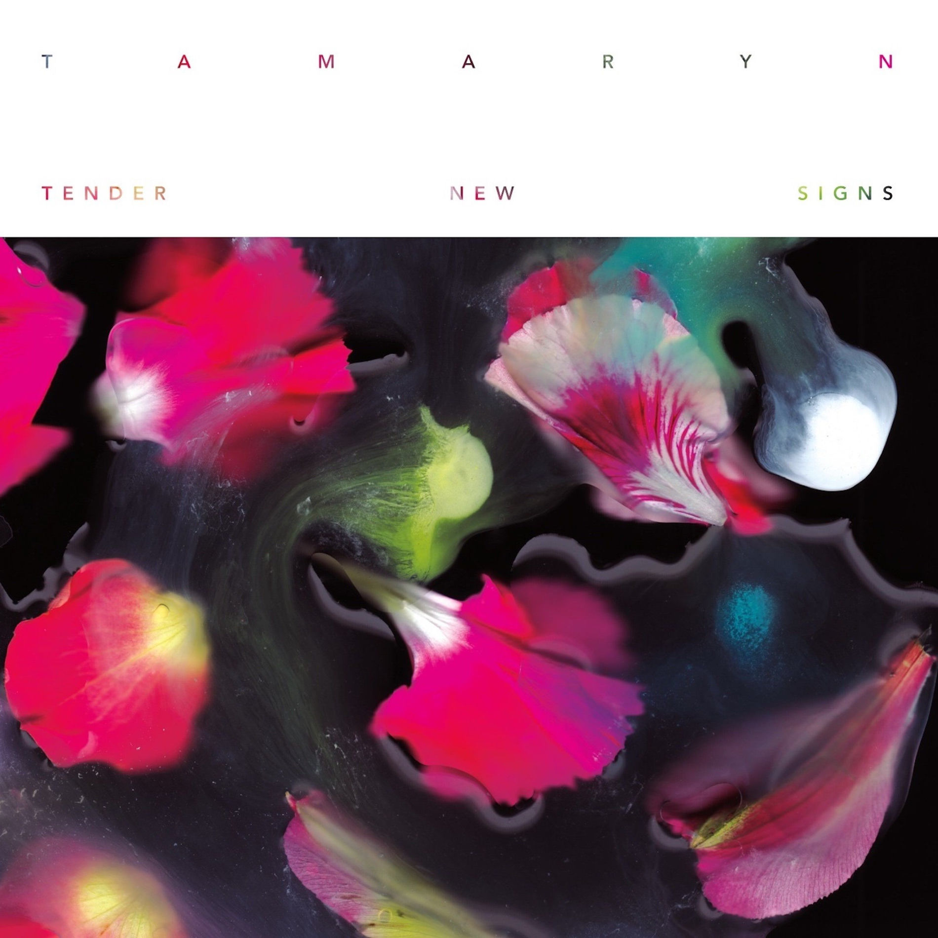 Album cover of Tender New Signs