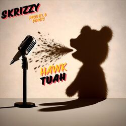 Cover of Hawk Tuah
